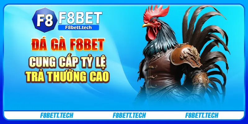 Đá gà F8bet cung cấp tỷ lệ trả thưởng cao Đá gà F8bet cung cấp tỷ lệ trả thưởng cao