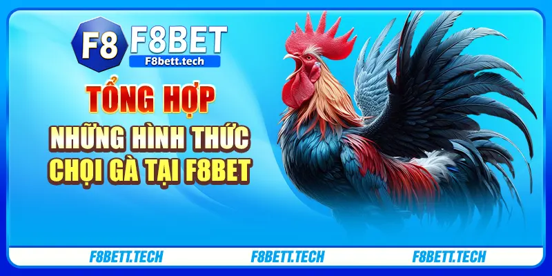 Tổng hợp những hình thức chọi gà tại F8bet Tổng hợp những hình thức chọi gà tại F8bet