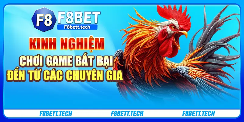 Kinh nghiệm chơi game bất bại đến từ các chuyên gia Kinh nghiệm chơi game bất bại đến từ các chuyên gia